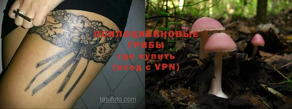 гидра Киренск
