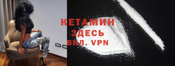 гидра Киренск