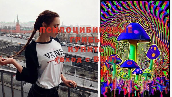 прущая мука Киреевск
