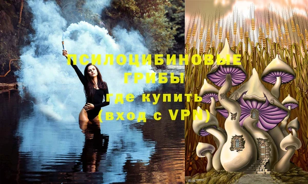 прущая мука Киреевск