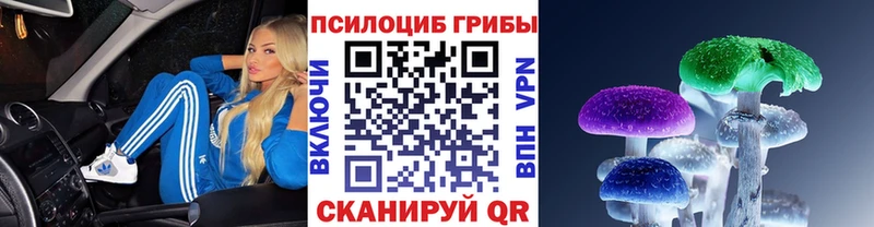 Галлюциногенные грибы Magic Shrooms  Купить  Кимовск 